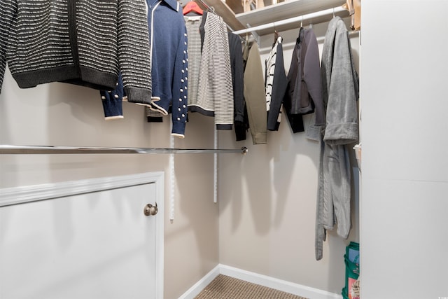 210 Double Eagle Dr Unit B-2, Surfside Beach, SC 29575 - view of walk in closet