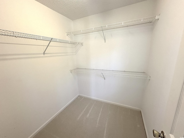 107 Pawleys Place Dr Unit 107, Pawleys Island, SC 29585 - spacious closet with carpet