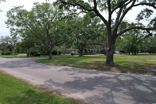 2LOTS-TBD Greenwich Dr, Georgetown, SC 29440 - photo 2