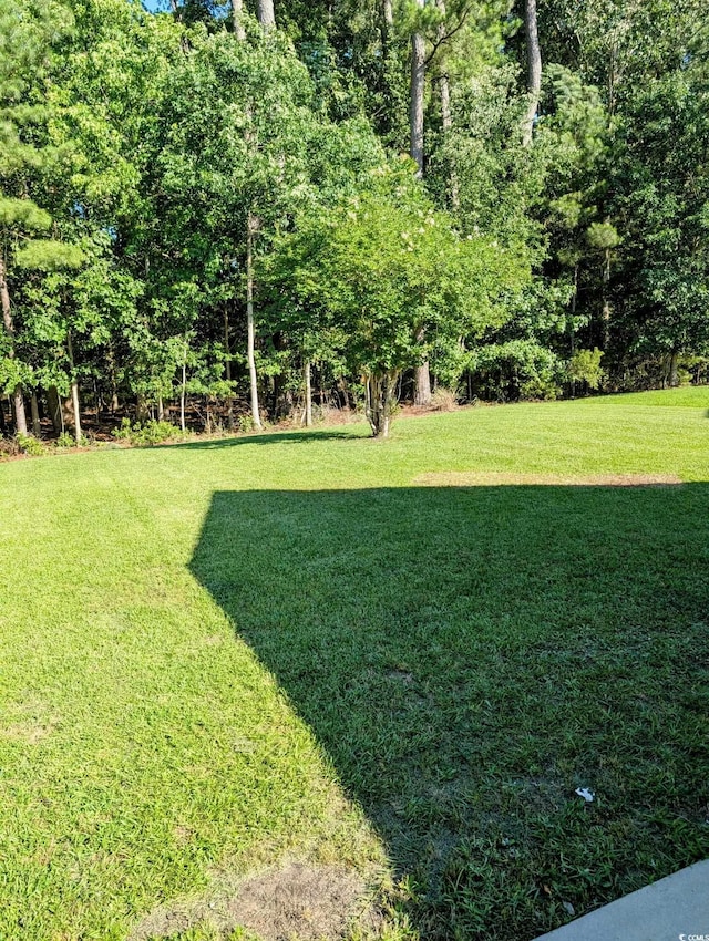 281 Palmetto Glen Dr, Myrtle Beach, SC 29588 - view of green lawn