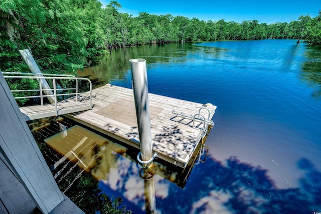 112 Blue Gull Dr, Conway, SC 29526 - dock area featuring a water view and a forest view