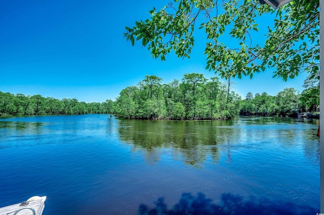 112 Blue Gull Dr, Conway, SC 29526 - water view with a heavily wooded area