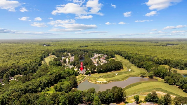 7005 Wellesley Ct, Murrells Inlet, SC 29576 - bird's eye view of a nearby body of water and a local golf course