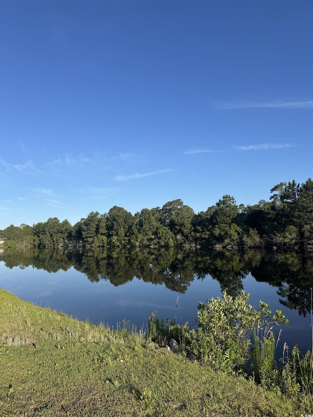 306 Babylon Pine Dr, Myrtle Beach, SC 29579