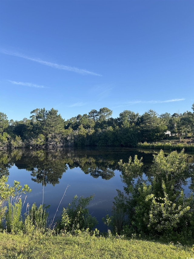306 Babylon Pine Dr, Myrtle Beach, SC 29579