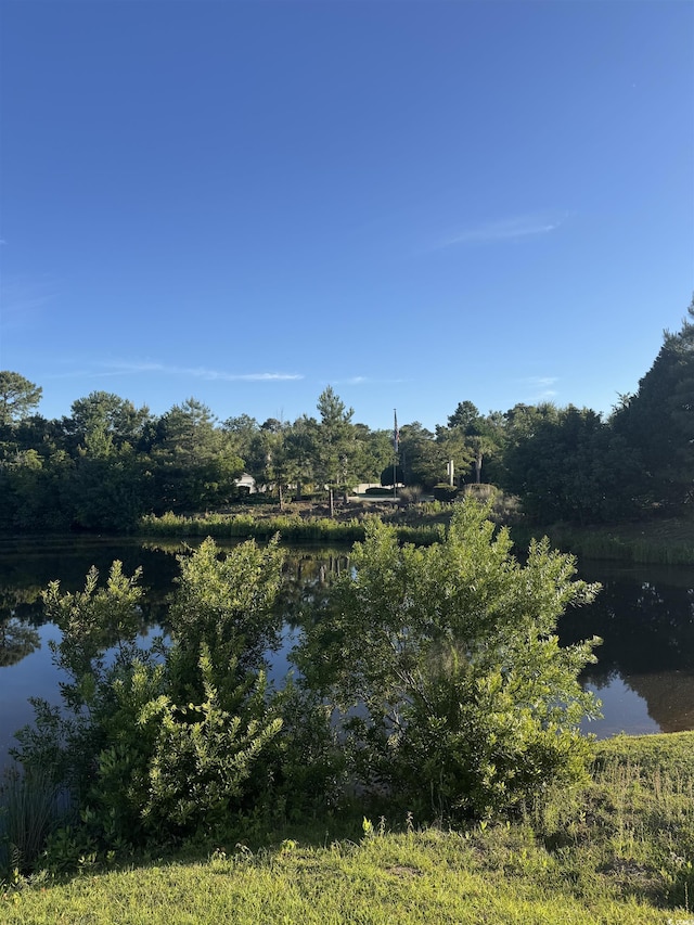 306 Babylon Pine Dr, Myrtle Beach, SC 29579