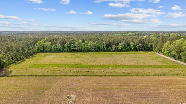7039 Norton Rd, Green Sea, SC 29545