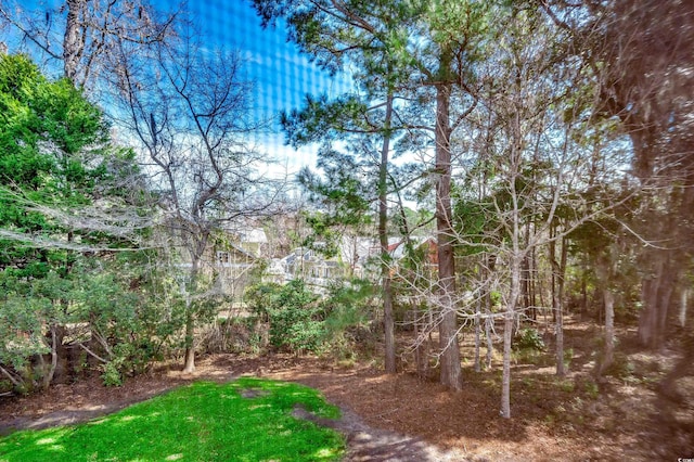 251 Egret Run Ln Unit 1122, Pawleys Island, SC 29585 - view of yard