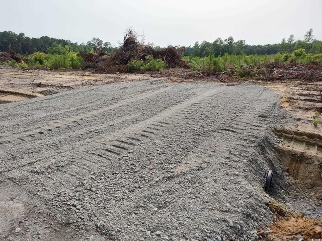 TBD Albatross Rd, Georgetown, SC 29440 - photo 3