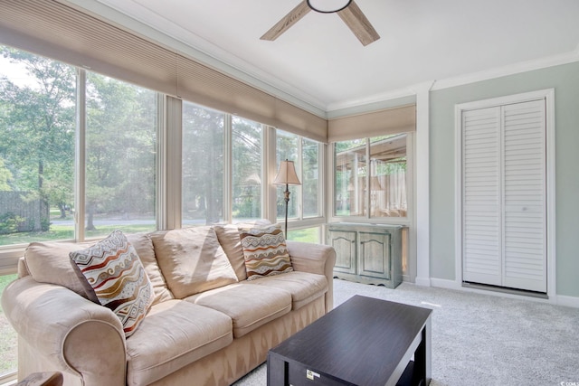 900 47th Ave N, Myrtle Beach, SC 29577 - sunroom / solarium featuring crown molding, healthy amount of natural light, carpet flooring, and baseboards