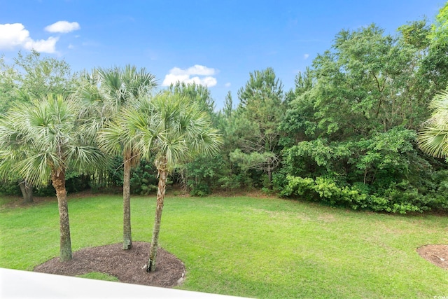 5750 Oyster Catcher Dr Unit 822, North Myrtle Beach, SC 29582 - view of green lawn