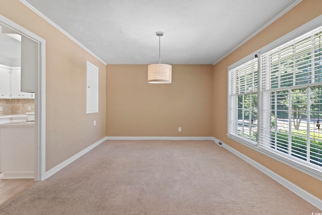 1043 S Main St, Aynor, SC 29511 - spare room featuring baseboards, light carpet, and ornamental molding