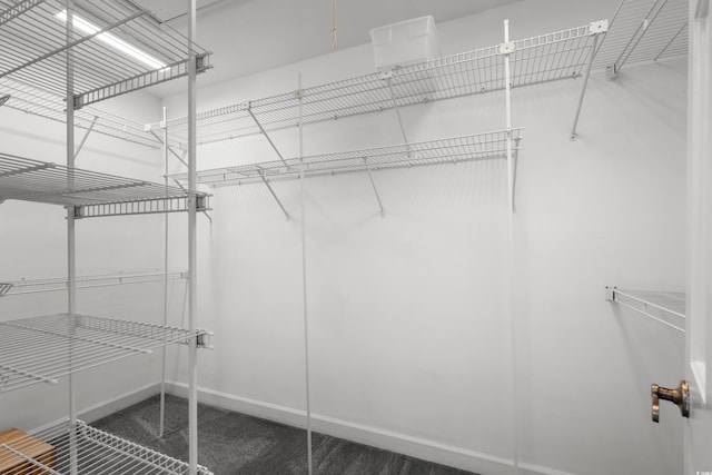 578 Circle Dr, Myrtle Beach, SC 29575 - spacious closet with carpet floors