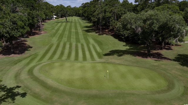 179 Golden Bear Dr Unit C4, Pawleys Island, SC 29585 - view of property's community featuring golf course view, view of wooded area, and an area to practice putting