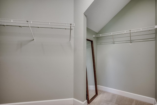 205 Threshing Way Unit 1052, Myrtle Beach, SC 29579 - walk in closet with carpet and vaulted ceiling