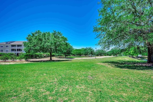 205 Threshing Way Unit 1052, Myrtle Beach, SC 29579 - view of green lawn