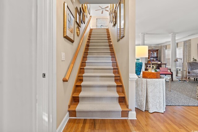 12 Jerry Ct, Pawleys Island, SC 29585 - photo 13