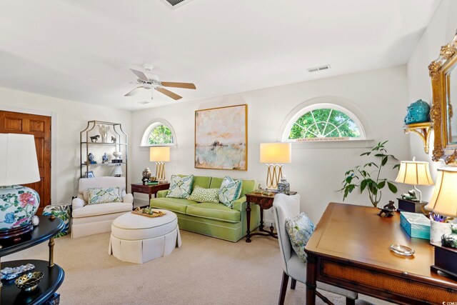 12 Jerry Ct, Pawleys Island, SC 29585 - photo 26