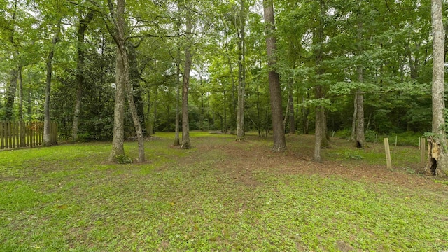 3180 Long Ave, Conway, SC 29526 - photo 33