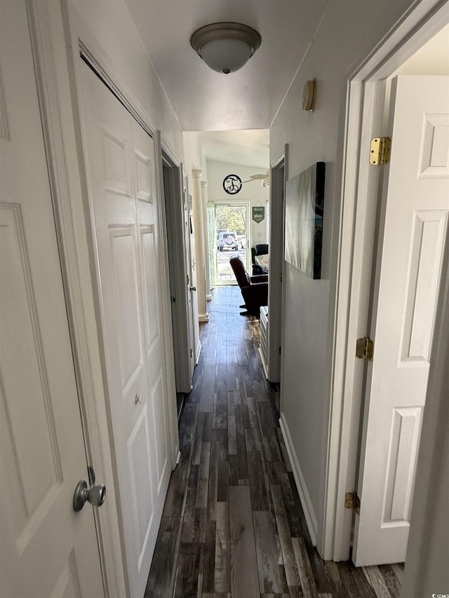 6001-Z67 S Kings Hwy, Myrtle Beach, SC 29575 - hall featuring dark wood-style floors and baseboards