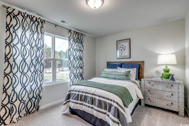 131 Bolsin Ct, Conway, SC 29526 - photo 28