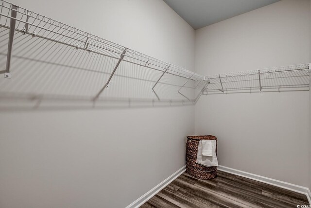 131 Bolsin Ct, Conway, SC 29526 - photo 19