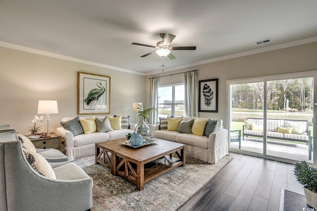 131 Bolsin Ct, Conway, SC 29526 - photo 10
