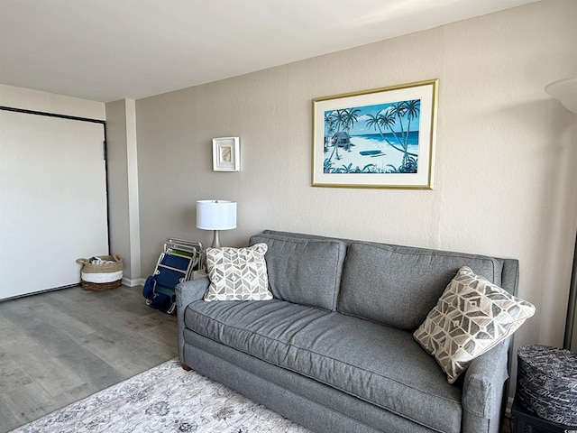 1501 S Ocean Blvd Unit 239, Myrtle Beach, SC 29577 - living area featuring wood finished floors
