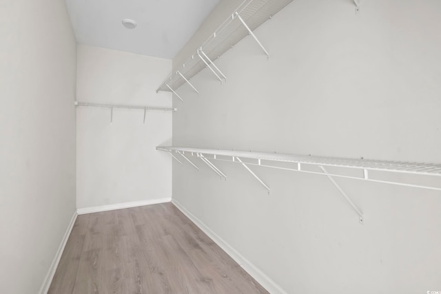 417 Grain Field Dr, Georgetown, SC 29440 - walk in closet with wood finished floors