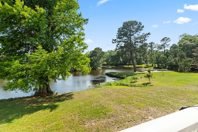 417 Grain Field Dr, Georgetown, SC 29440 - water view