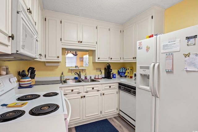 210 25th Ave S Unit 19, Myrtle Beach, SC 29577 - photo 6