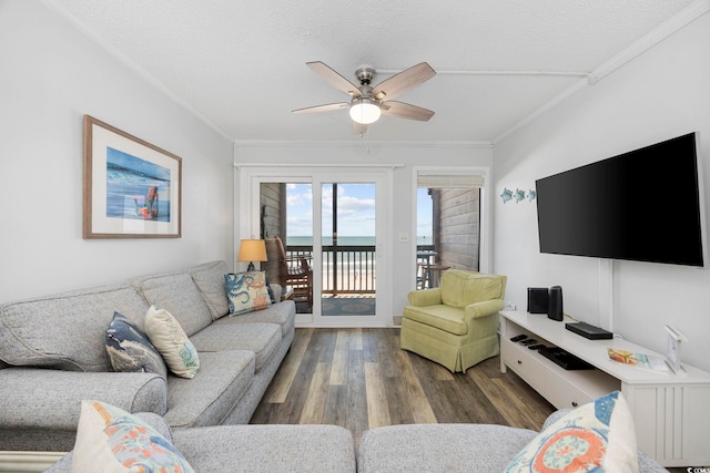 208 Ocean Blvd N Unit 324, North Myrtle Beach, SC 29582 - living room with wood finished floors, ceiling fan, crown molding, and a textured ceiling