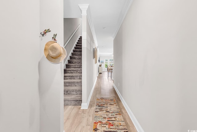 232 Je Edward Dr Unit 19, Myrtle Beach, SC 29588 - corridor featuring light wood-type flooring, ornamental molding, and stairway
