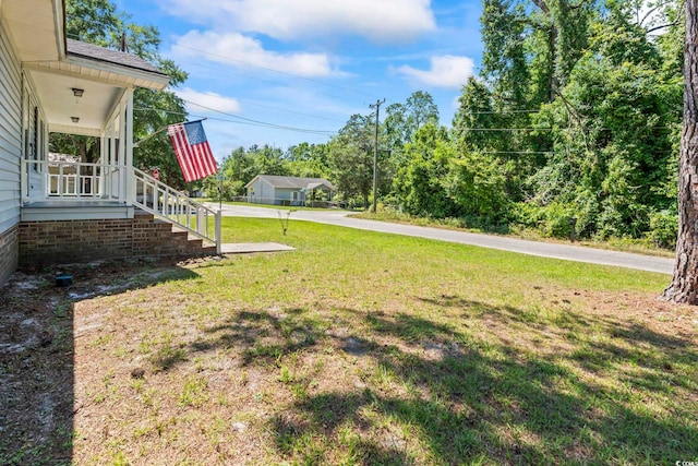 204 Elm St, Johnsonville, SC 29555 - view of grassy yard