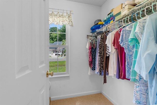250 Nature Trl, Little River, SC 29566 - walk in closet with carpet flooring
