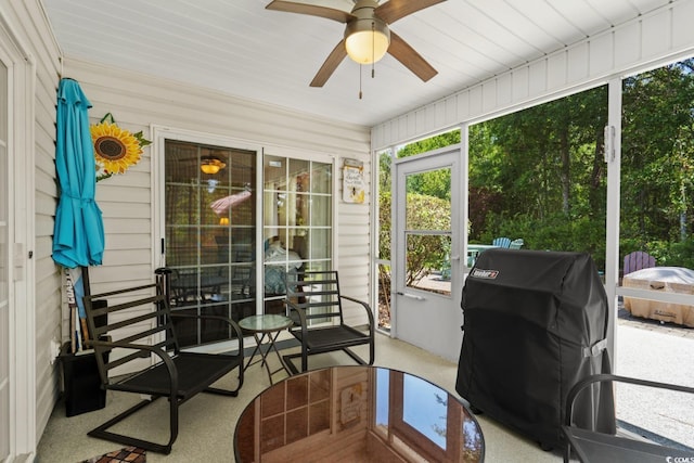4 Clemson Rd, Conway, SC 29526 - photo 18