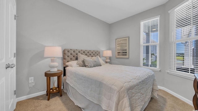 4053 Taranto Loop Unit C, Myrtle Beach, SC 29579 - bedroom with carpet floors and baseboards