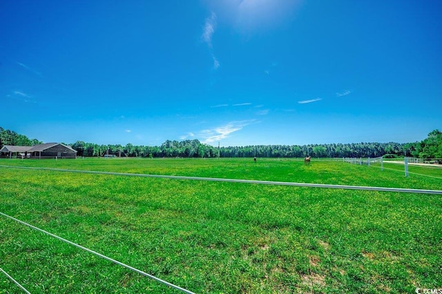 181 Halfway Rd, Nichols, SC 29581 - view of yard with a rural view