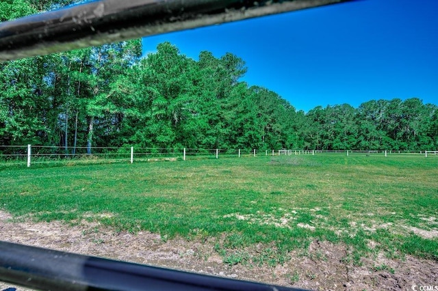 181 Halfway Rd, Nichols, SC 29581 - view of yard with a view of countryside and a forest view