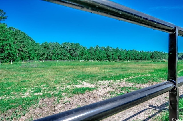 181 Halfway Rd, Nichols, SC 29581 - view of yard with a view of rural / pastoral area and a view of trees