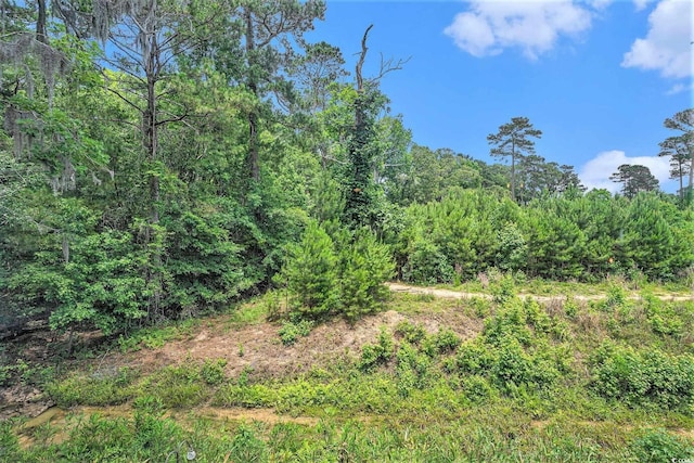 1460 Blue Tree Ct Unit E, Myrtle Beach, SC 29588 - view of woods