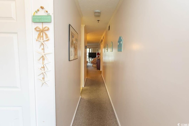 305 N Hillside Dr Unit 206, North Myrtle Beach, SC 29582 - hall with carpet and a textured ceiling