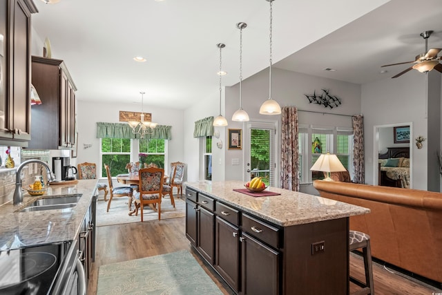 260 Dunbarton Ln, Conway, SC 29526 - kitchen featuring stove, wood finished floors, open floor plan, dark brown cabinetry, and recessed lighting