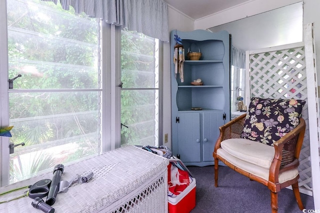 404 13th Ave S, Myrtle Beach, SC 29577 - carpeted bedroom with crown molding