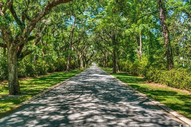 9 Winnowing Way, Pawleys Island, SC 29585 - view of asphalt road featuring curbs and a forest view