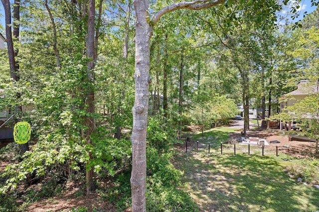 739 Tall Oaks Dr, Myrtle Beach, SC 29588 - view of yard