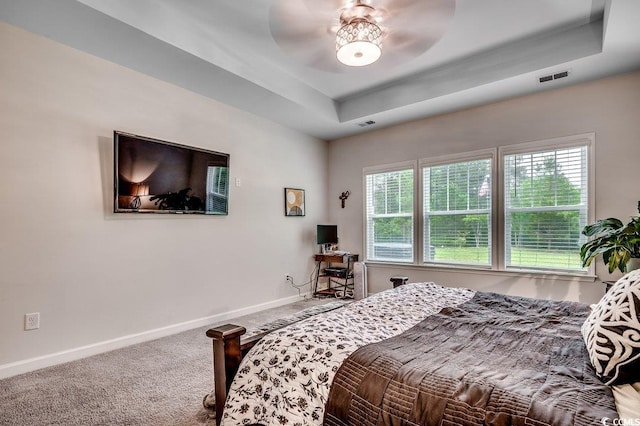 3091 Viceroy Loop, Little River, SC 29566 - bedroom with carpet floors, baseboards, a tray ceiling, and multiple windows