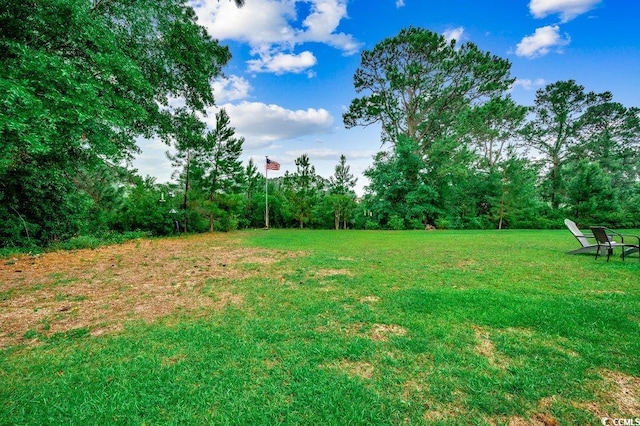 3091 Viceroy Loop, Little River, SC 29566 - view of grassy yard