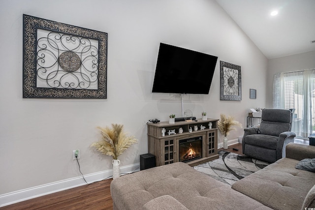 2472 Bayboro St Unit C, Loris, SC 29569 - living area featuring baseboards, wood finished floors, high vaulted ceiling, and a glass covered fireplace