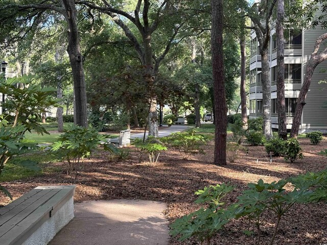 415 Ocean Creek Dr Unit 2117, Myrtle Beach, SC 29572 - view of yard